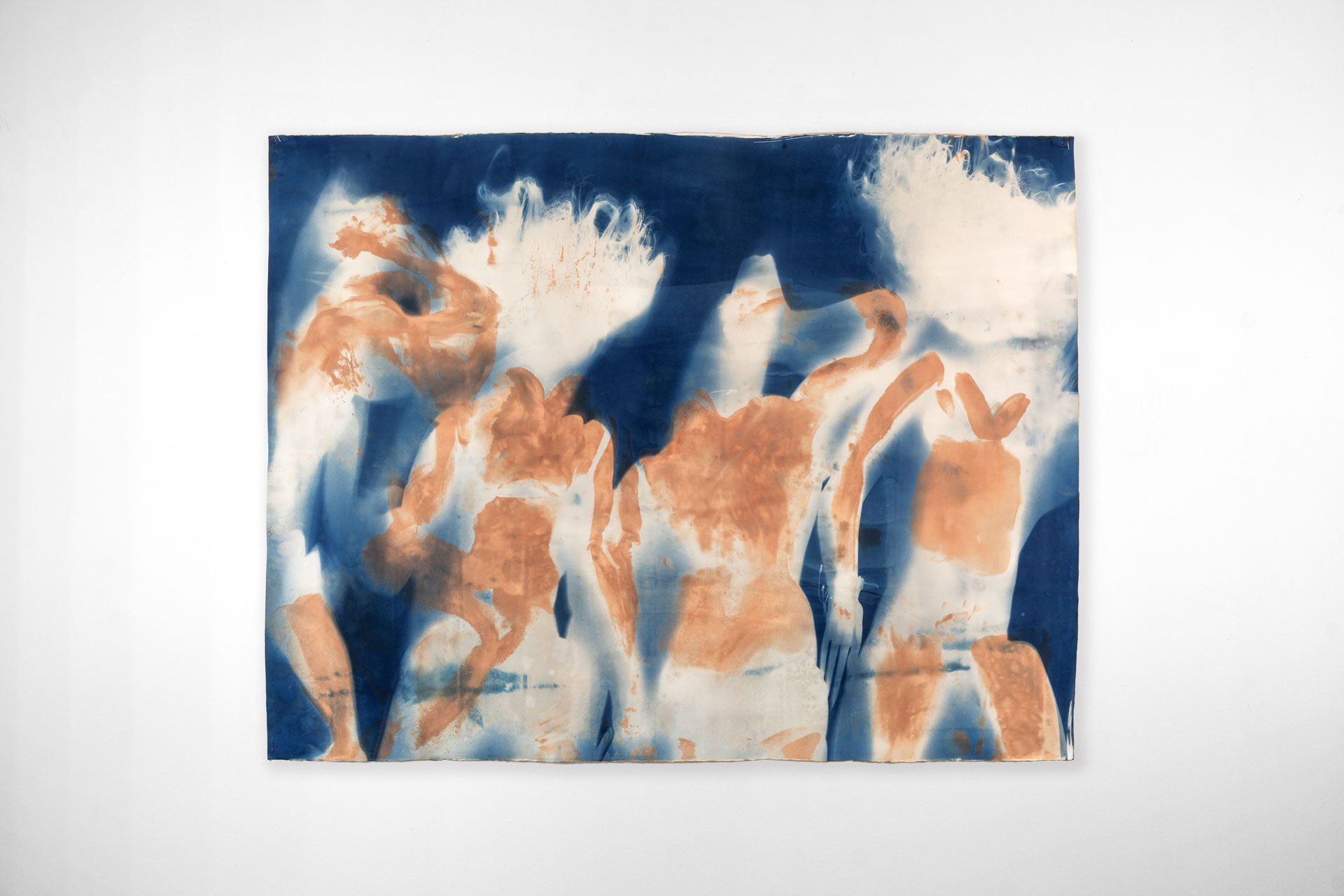 Cyanotype-001-DSC03355