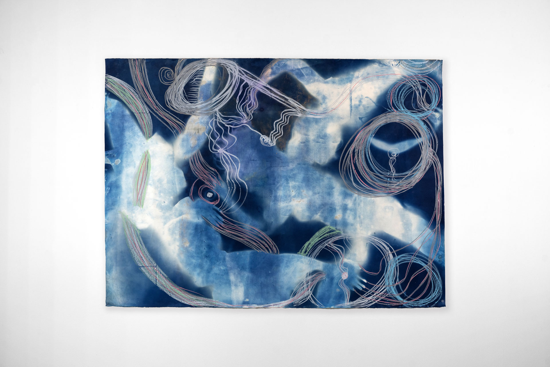 Cyanotype-002-DSC03356