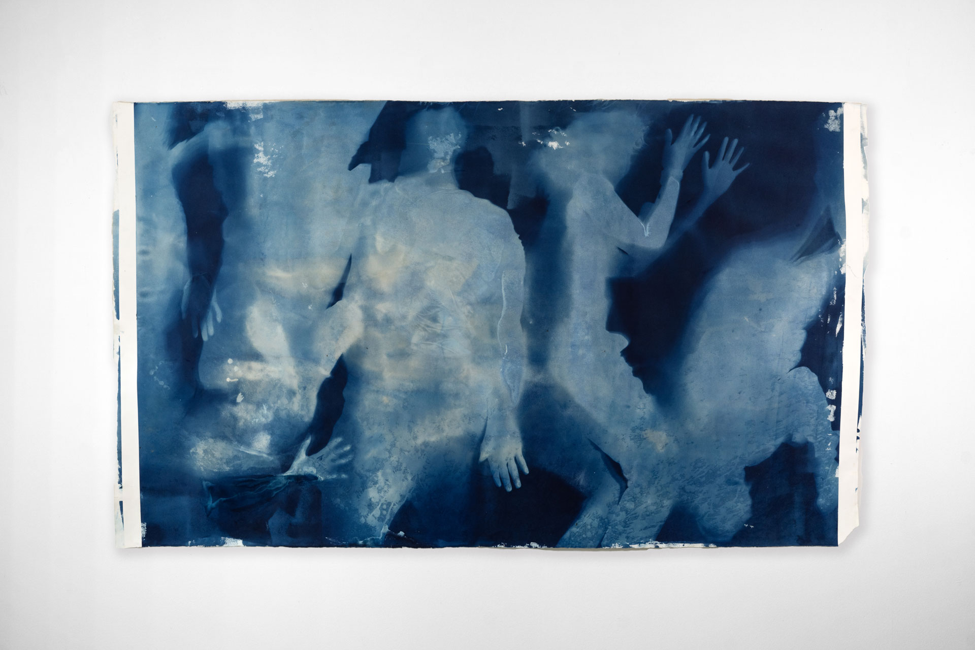 Cyanotype-005-DSC03363