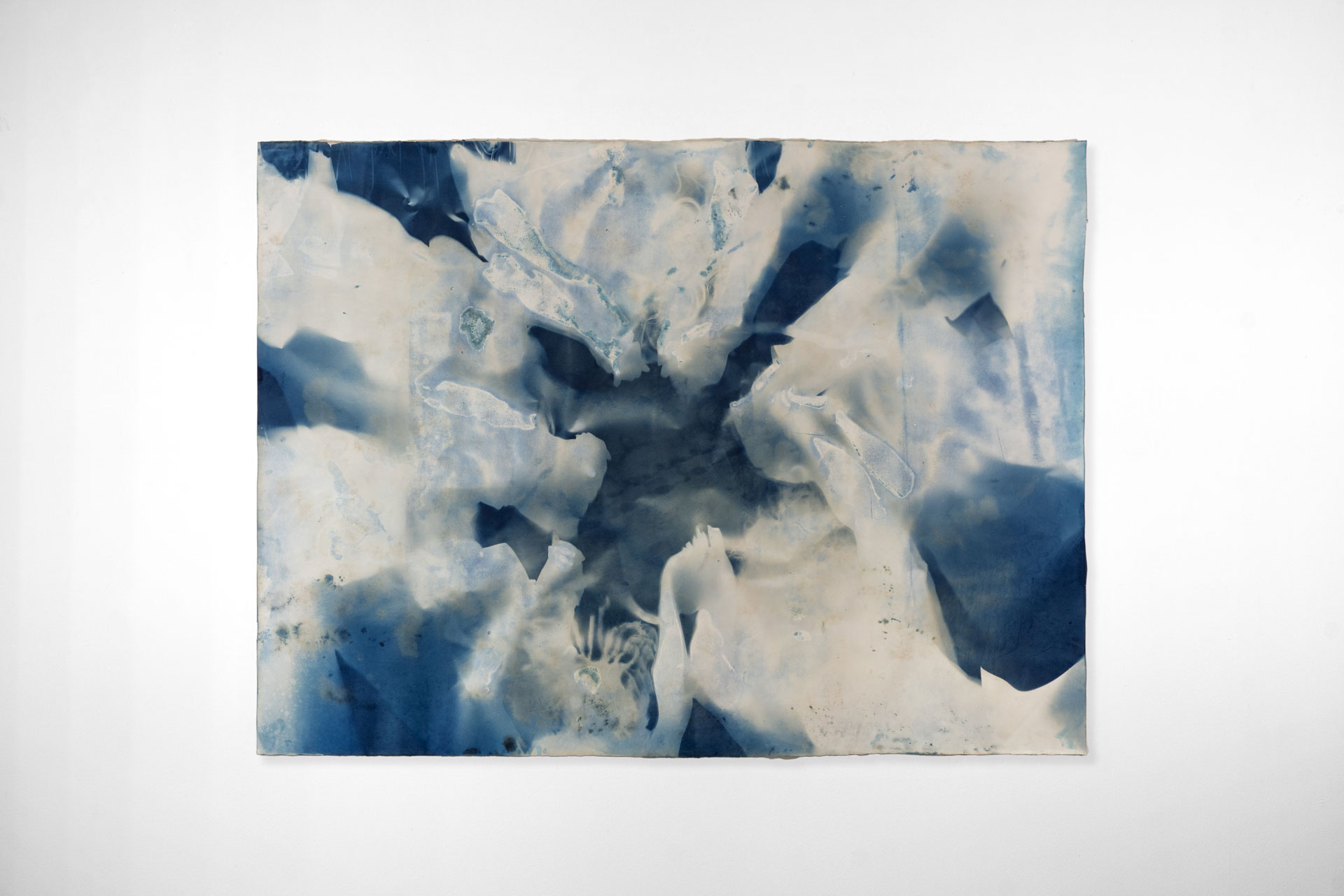 Cyanotype-006-DSC03365