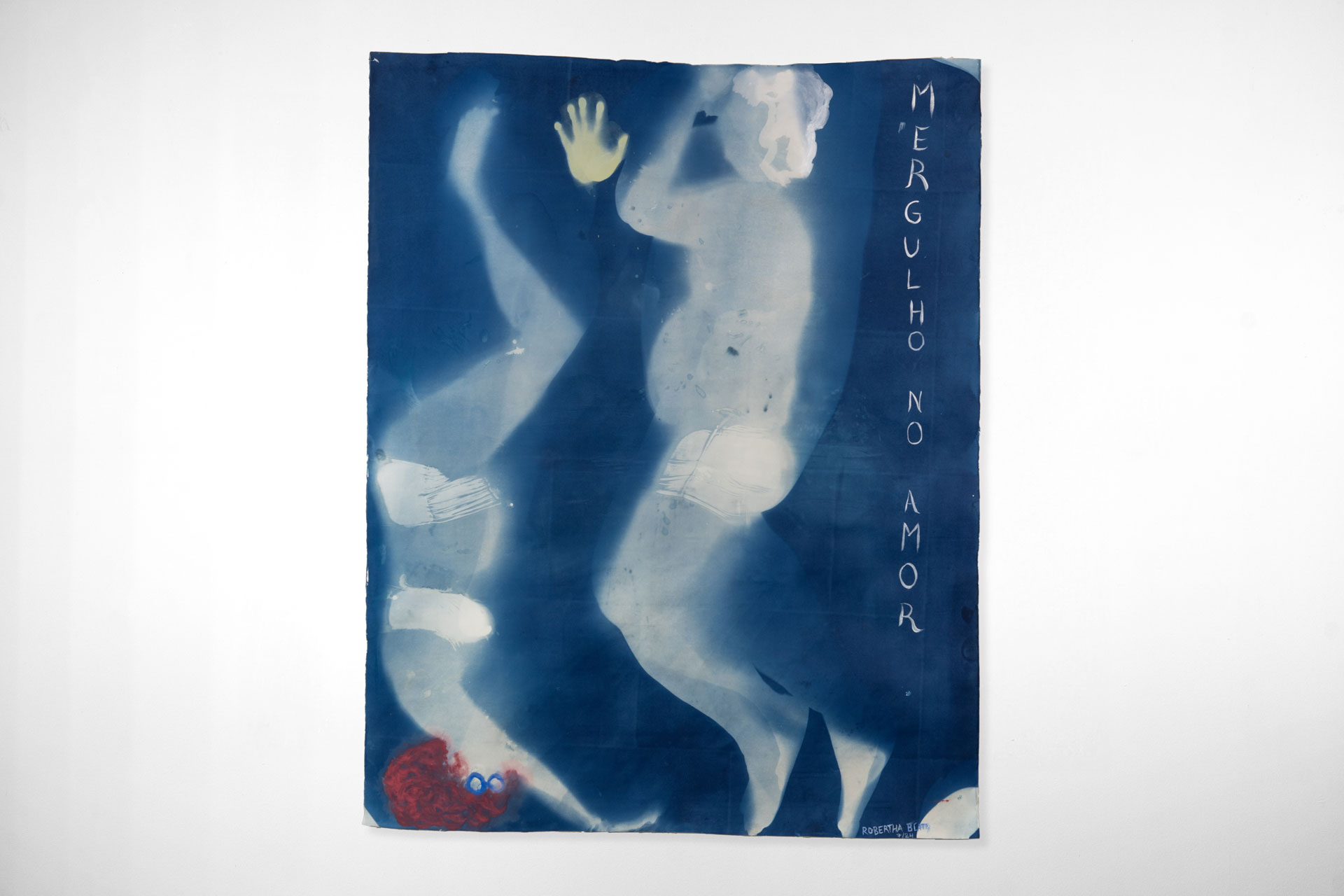Cyanotype-007-DSC03371