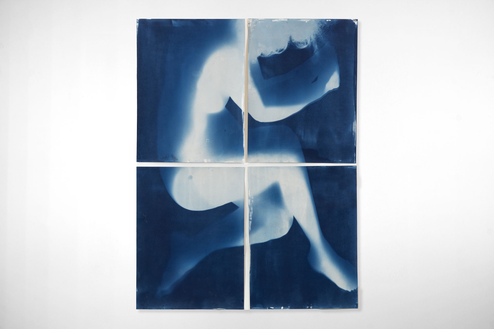 Cyanotype-010-DSC03383