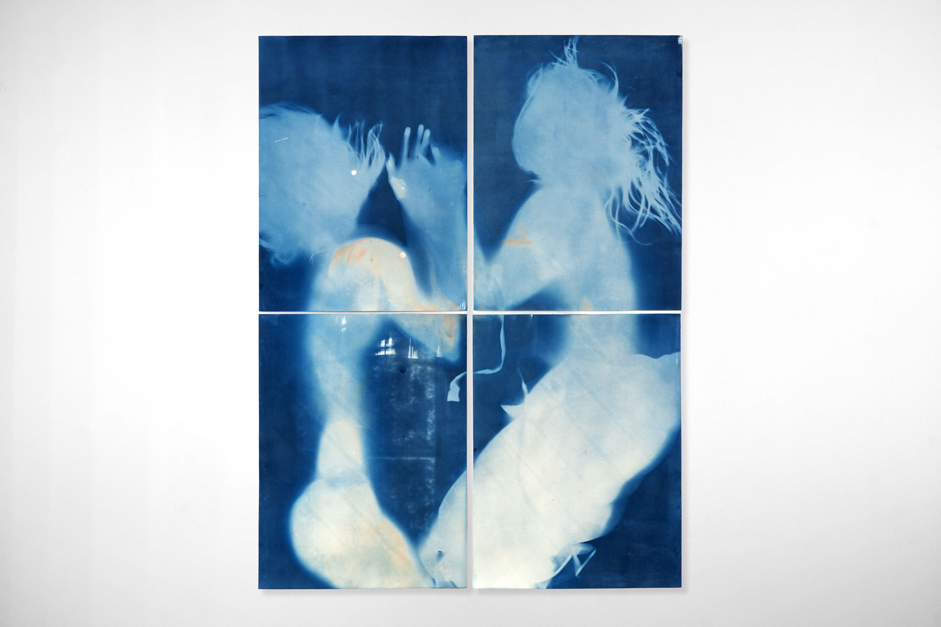 Cyanotype-011-DSC03384