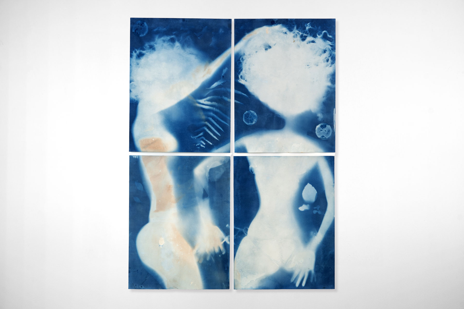 Cyanotype-012-DSC03389