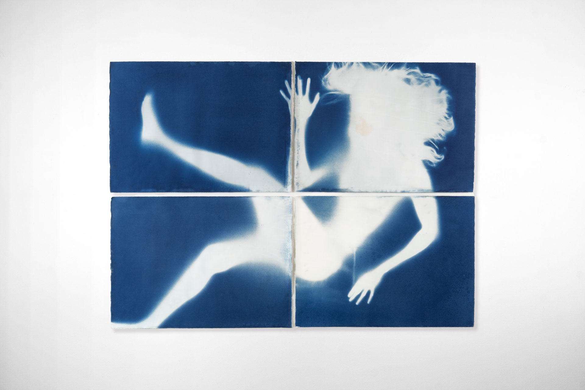Cyanotype-013-DSC03392