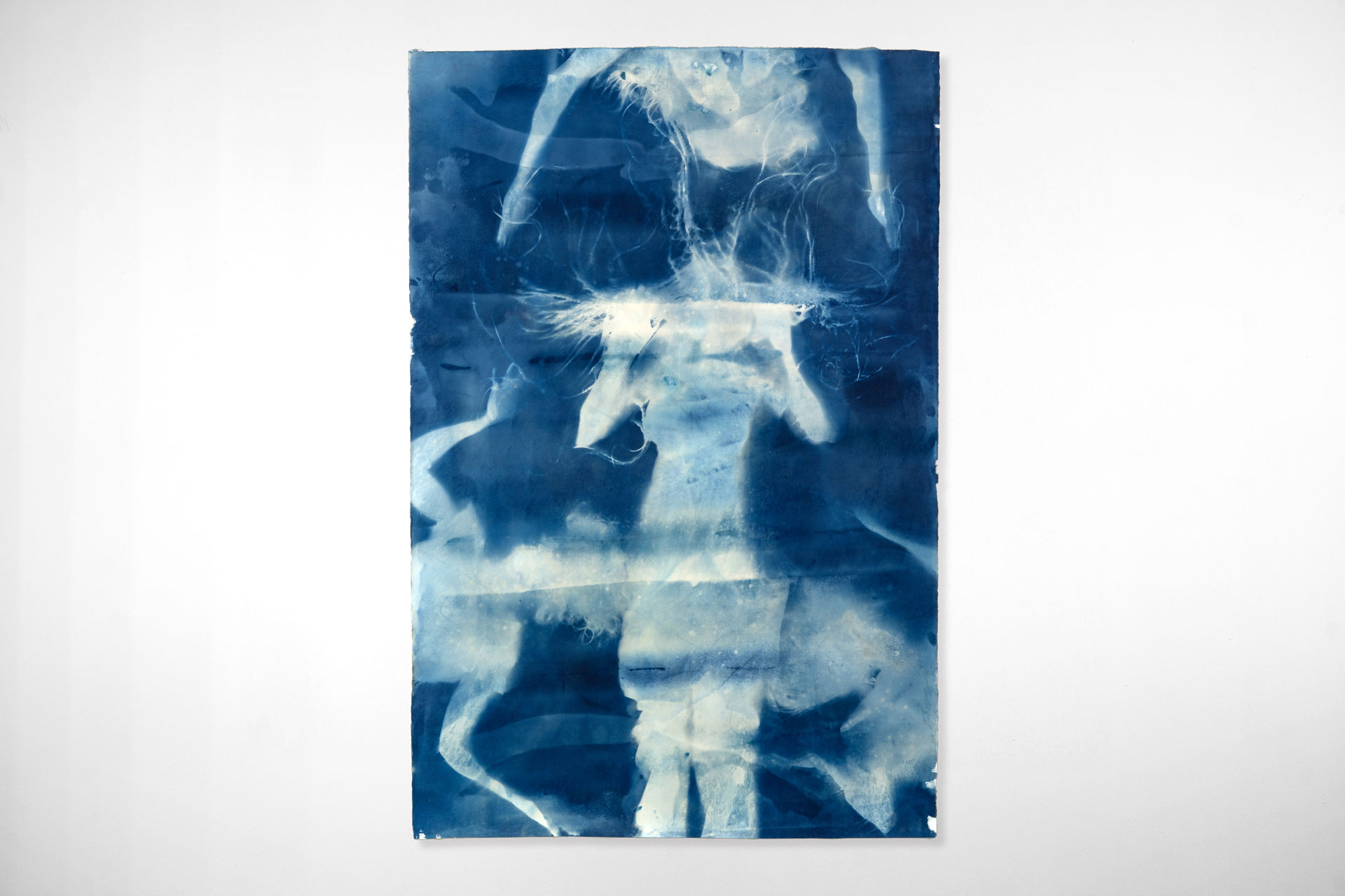 Cyanotype-014-DSC03395