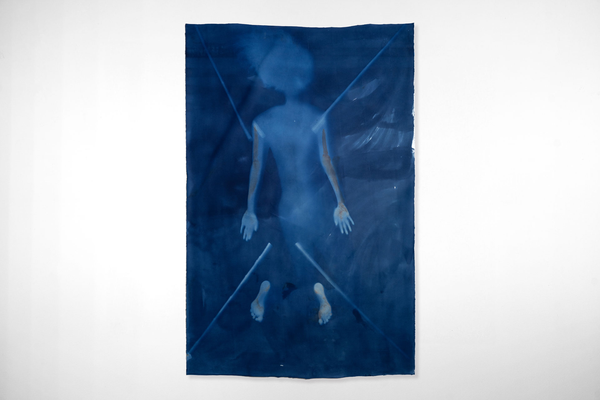 Cyanotype-017-DSC03413