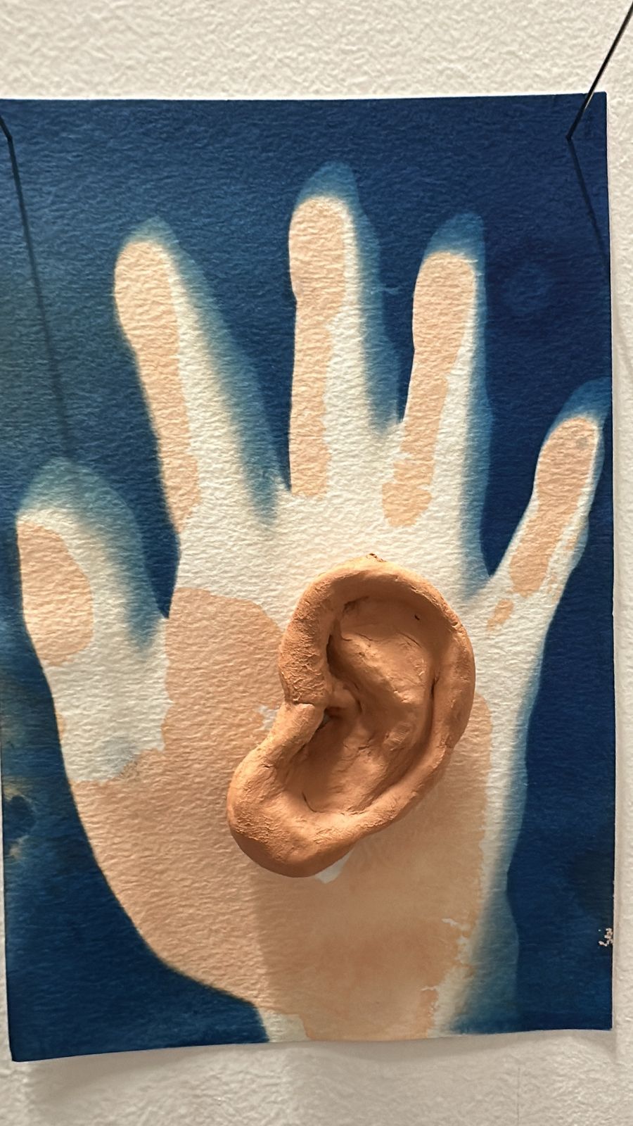 WhatsApp Image 2025-03-12 at 16.22.48